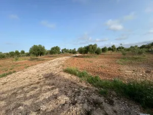 FINCA RÚSTICA EDIFICABLE EN LLUCMAJOR  (SON PIERES)