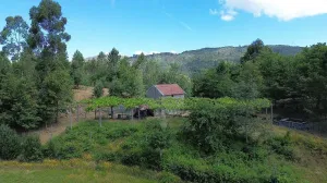 Finca en Fafe