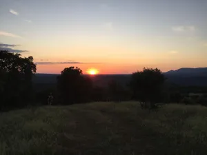FINCA DE DEHESA DE 30 HECTÁREAS EN PLENA SIERRA MORENA (CORDOBA)