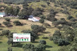Finca ganadera y cinegética en Espiel