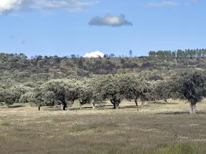 Se vende finca con actividad ganadera ovina
