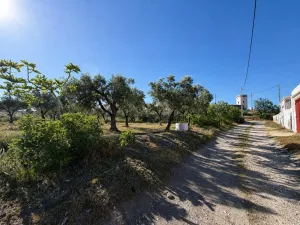 🌿 TABERNAS Finca Rústica con Cortijo de 170 m2 const. y 6 Hectáreas de Terreno