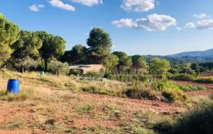 Finca Rústica con Amplias Posibilidades