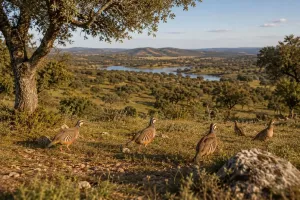 ^**^ACTIVO PATRIMONIAL ÚNICO EN ESPAÑA –4.500 HECTÁREAS DE DEHESA, CAZA, RECURSOS NATURALES Y EXPLOTACIÓN AGROFORESTAL^**^