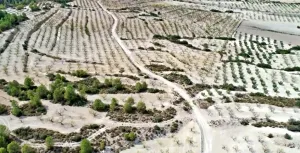 HACIENDA RUSTICA CON CASA CORTIJO - MORATALLA