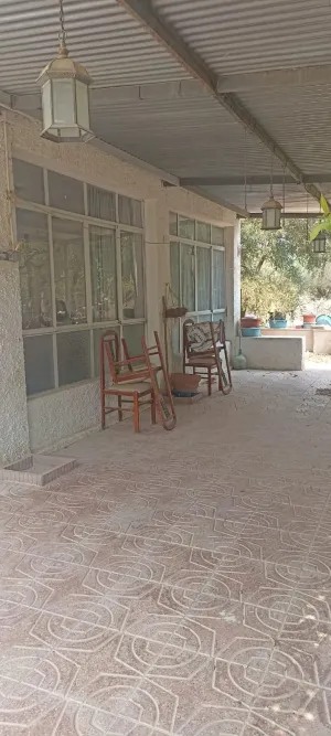 Finca rústica con vivienda y naves sobre parcela de 5.562 m2 en Elche