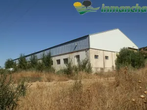 Finca en venta 200 has. labor riego Almendros