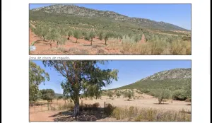 finca regadio y secano
