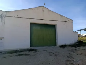 FINCA AGRICOLA  184 HC (60 DE REGADIO)