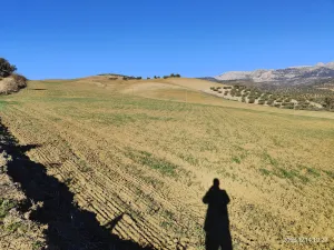Riogordo - Colmenar 262,3 Ha Cortijo Napolín