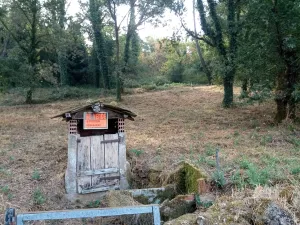 En Venta Precioso Terreno y zona con Pozo