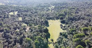 Finca rústica en pleno Valle del Tiétar