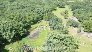 136 ha 1500m² Construidos. Recreo y Ganadera