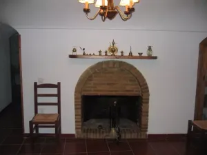 FINCA DE OLIVOS CON RIEGO POR GOTEO