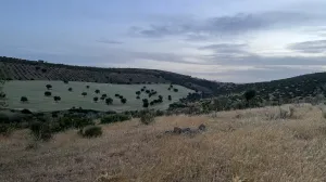 Propriedade de lazer com exploração agrícola e pecuária