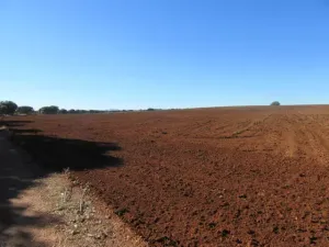 FINCA DE LABOR Y CAZA MENOR EN CIUDAD REAL