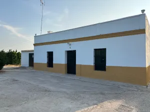 Finca de naranjos en Palma del Río