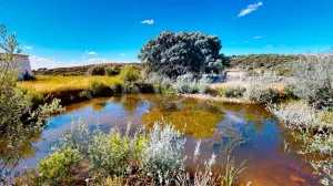 Espectacular finca de recreo en Salamanca