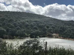 FINCA GANADERA , AGRICOLA Y CINEGETICA