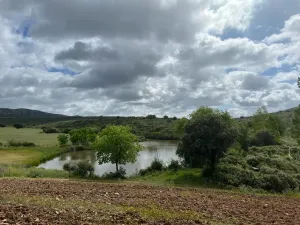 Magnifica Finca