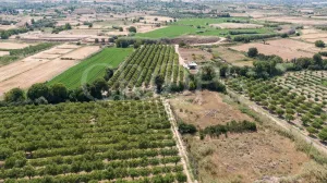 Finca de regadío en la provincia de Teruel