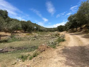 Finca 303 Has en Ciudad Rodrigo-Fotovoltaico