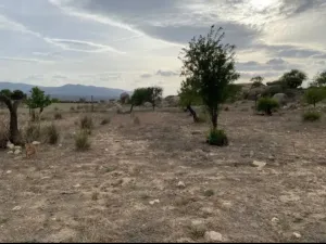Terreno 3,5Ha en Sonseca (Toledo)