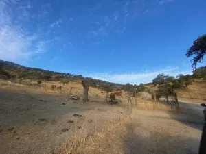 finca ganadera en el término de la nava,