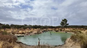 Dehesa ganadera en venta en Huelva