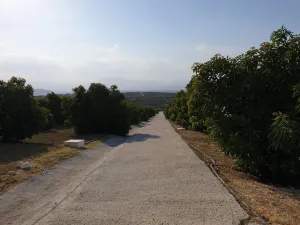 4. Finca premium en plena Costa del Sol