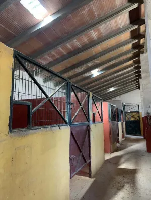 FINCA DE RECREO CON INSTALACIONES ECUESTRES