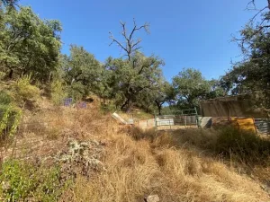 FINCA EN LA NAVA