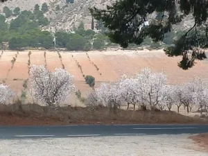 VENTA FINCA SECANO PRODUCCION ECOLÓGICA