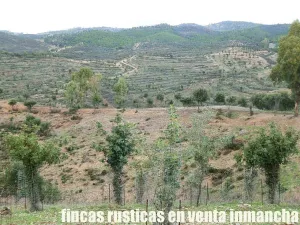 finca en venta 216 has. Recreo Ganadera