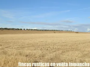 finca en venta 350 has. labor secano olivar
