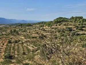 Finca rústica de cultivo en Gandesa