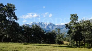 Dehesa para construir en Sierra de Gredos