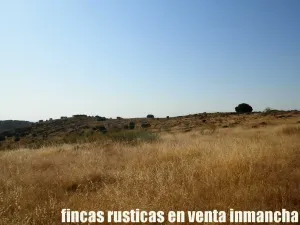 finca venta 326 has labor ganadera en Almagro