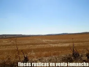 finca en venta 184 has. labor riego Belmonte