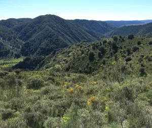 Finca agricola, cinegetica y recreo