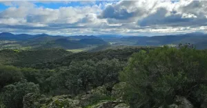 Magnifica finca de 275 ha