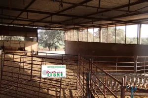 Finca mixta en el  VALLE DE LOS PEDROCHES.