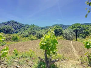 Hermosa casa en el campo, con vistas espectaculares al mar y la montaña.