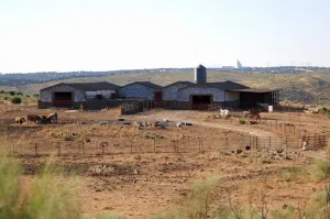 Finca Ganadera De 800ha Cerca De Cáceres