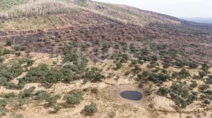 Finca ganadera en Los Baldíos (Badajoz)