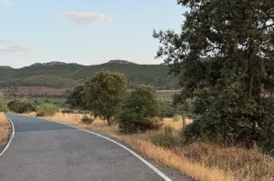 Finca Con Buen Acceso En Venta.