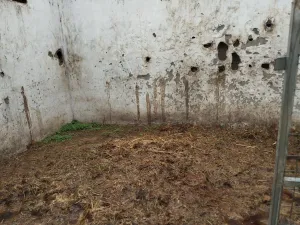 PEQUEÑA FINCA  A 30 MINUTOS DE LA PLAYA