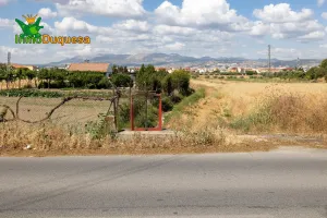 Terreno rústico de 5000 m²