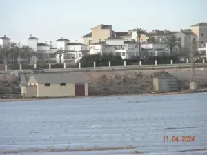 FINCA REGADIO 35 Ha. COTA 120 CAMPO CARTAGENA