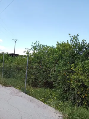 Terreno rústico en Los Lages - Los Garres